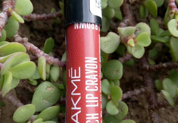 CINNAMON BROWN 09 BY LAKME ENRICH LIP CRAYON