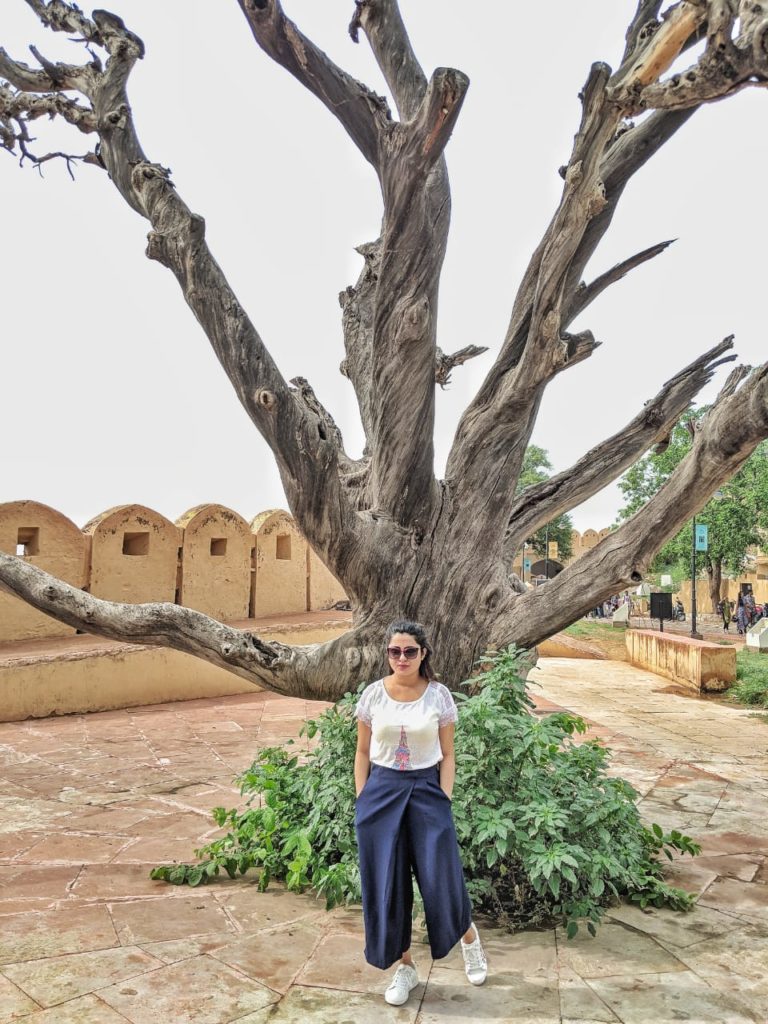 What I wore to Jaipur , Jaipur Lookbook, Elle Boutique India 